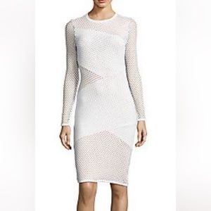 Super BCBG mesh dress in white/ nude.